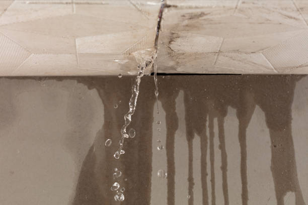 Professional Structural Drying technician working in Eustis, ME